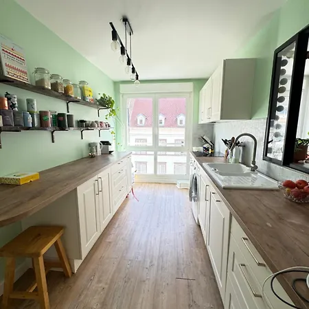 公寓 Proche Marche De Noel